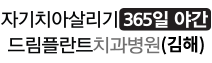 드림플란트치과